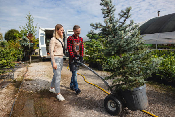 Best Sod Installation  in Harbor Springs, MI